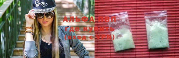 стаф Майский