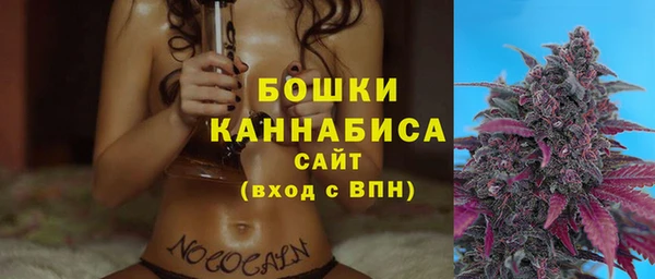 PSILOCYBIN Магас