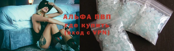 стаф Майский