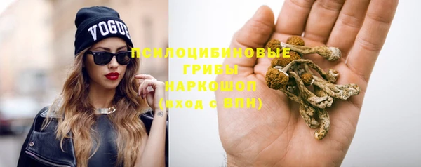 стаф Майский