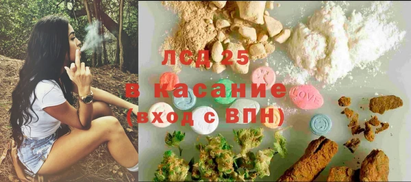PSILOCYBIN Магас