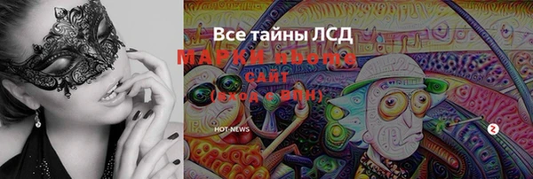 PSILOCYBIN Магас