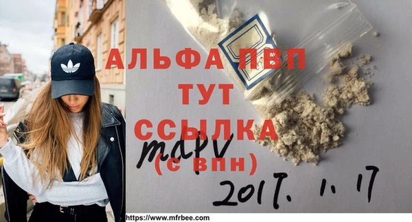 PSILOCYBIN Магас