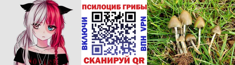 Псилоцибиновые грибы мухоморы  Чёрмоз 
